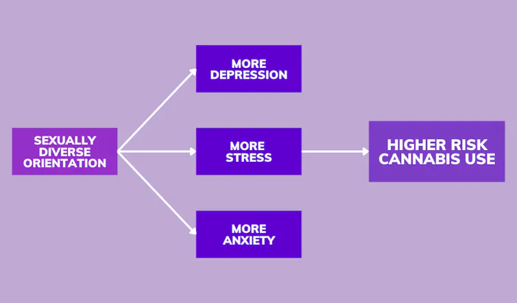 Diagram of boxes from sexually diverse orientation to depression, stress, and anxiety, with stress being linked to higher risk cannabis use
