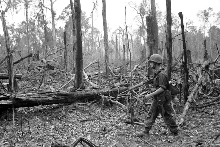 Um soldado caminha por uma floresta de árvores quebradas, sem folhas.