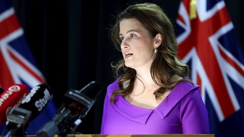 Willis warns of a ‘tight’ budget to come, but NZ should be going for productivity, not austerity