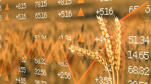 Why Donald Trump’s trade tariffs are a threat to global food security