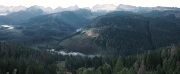 Vientos de río alrededor de montañas boscosas