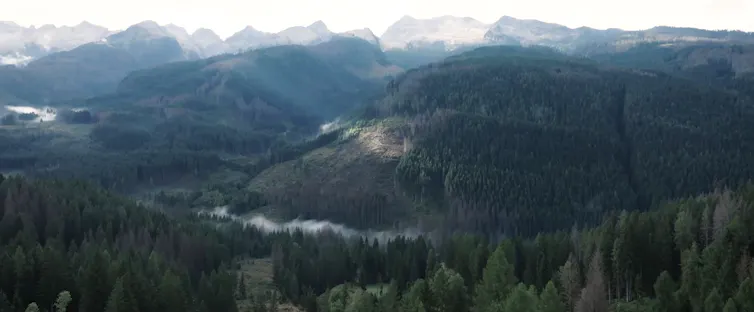 river winds around forested mountains