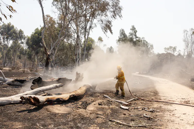 A firefighter extinguishing a bushfire.