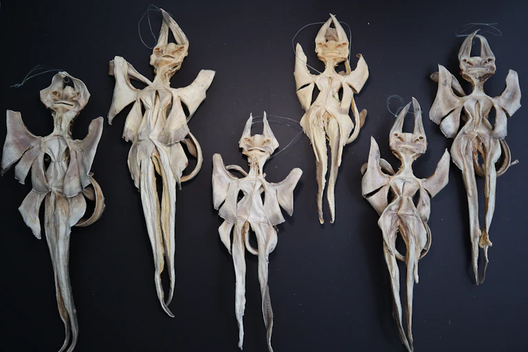 Several elongated white creatures that appear to have bat-like ears, wings and long tails