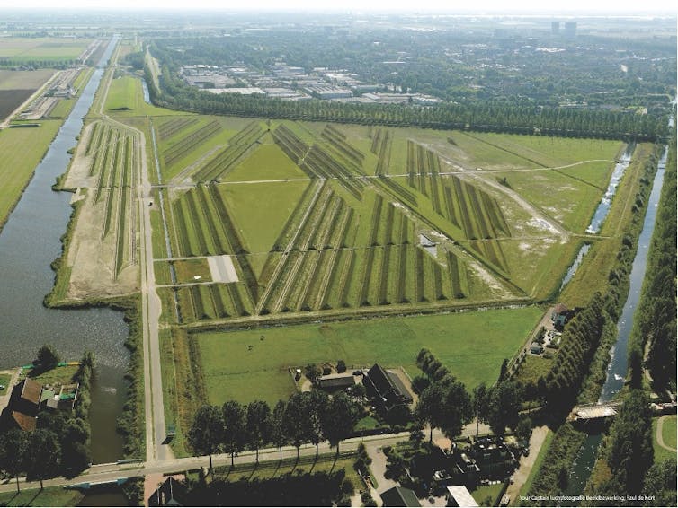 How one can design landscapes that make stronger herbal sounds and minimise noise air pollution 1 file 20250430 56 vuvsdy.jpg?ixlib=rb 4.1