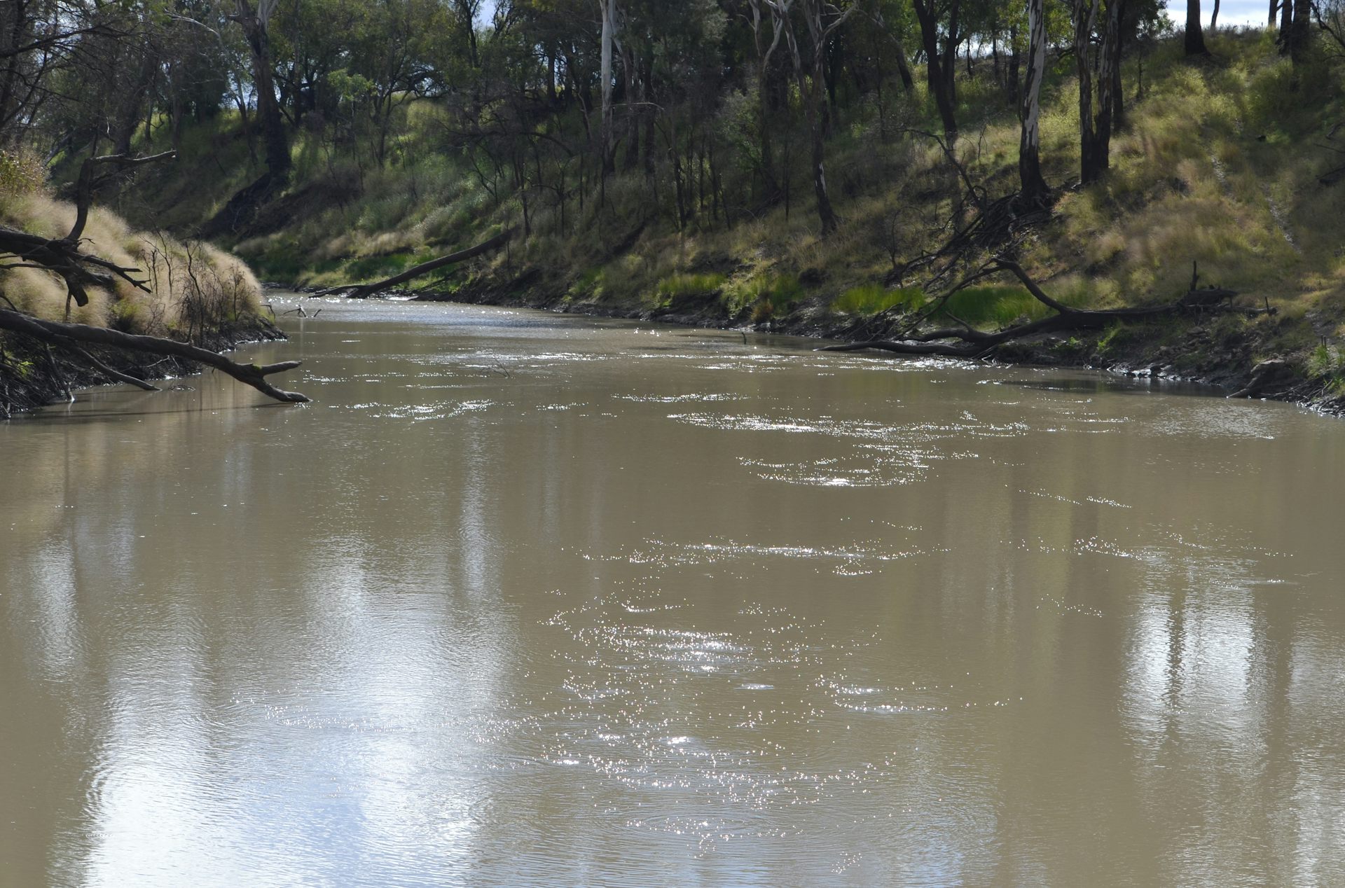 natural gas bubbles in a river.