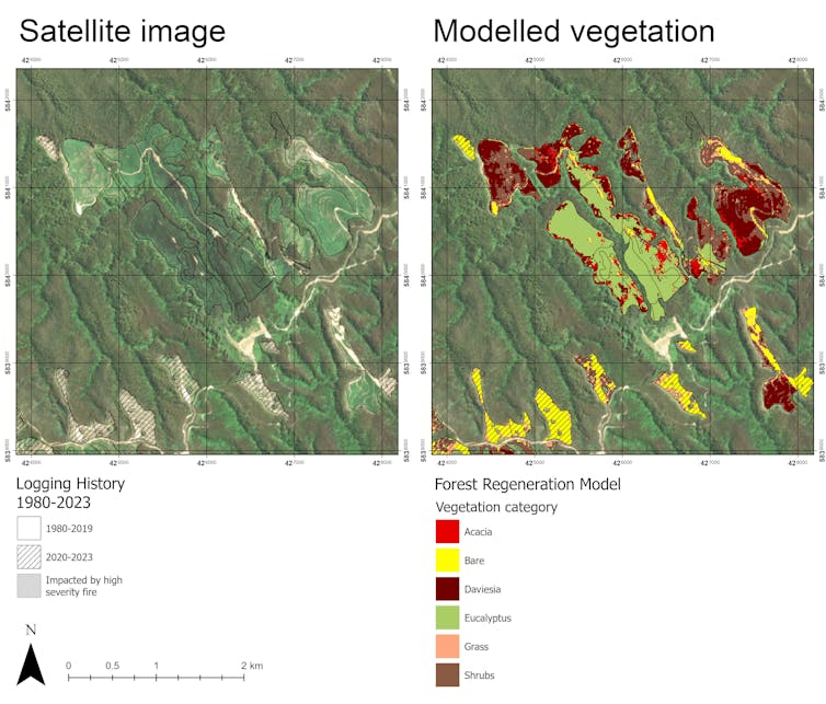 A satellite image of Mt Matlock in the Central Highlands of Victoria, overlaid with logging history (A) and different categories of vegetation from modelling, where the presence of non-eucalypt categories indicates regeneration failure.