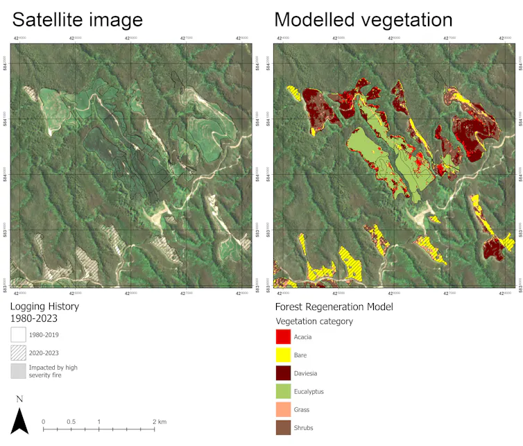 A satellite image of Mt Matlock in the Central Highlands of Victoria, overlaid with logging history (A) and different categories of vegetation from modelling, where the presence of non-eucalypt categories indicates regeneration failure.