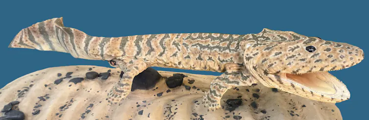 Reptile Fossil Tracks Trigger New Evolutionary Insights File 20250501 56 Hcqpj0.jpg?ixlib=rb 4.1