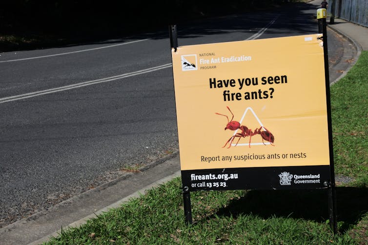 A roadside sign with a picture of a red ant.
