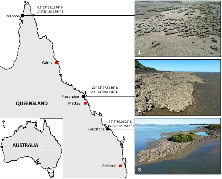 Locator map showing the three survey sites in Queensland alongside oyster reef images from those locations