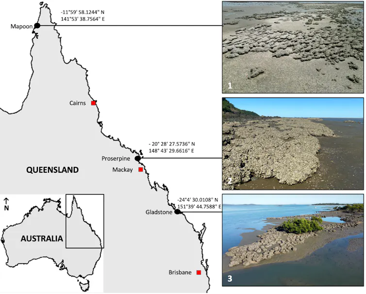 Locator map showing the three survey sites in Queensland alongside oyster reef images from those locations