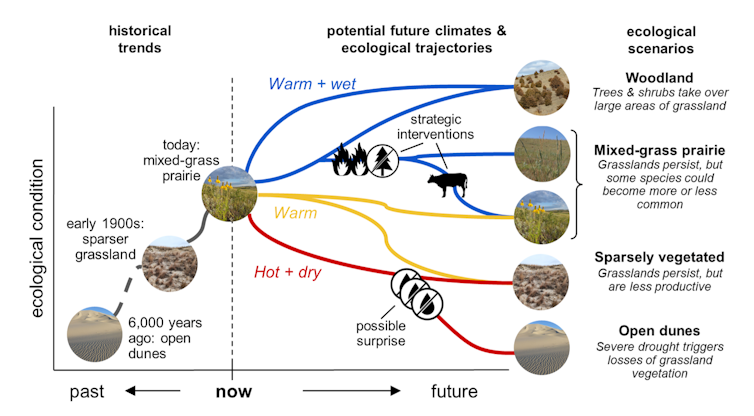 A chart shows different ecological changes