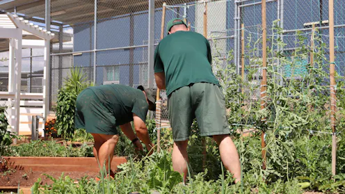 How maximum security prison inmates and officers worked together to create a farm behind bars