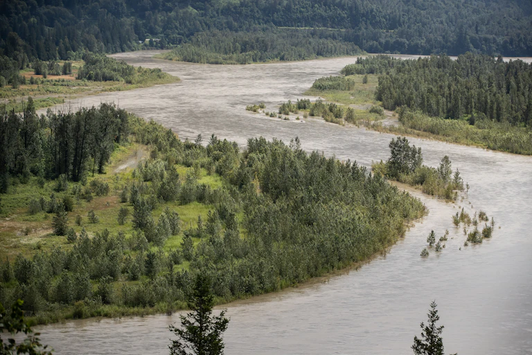 a river winding through a green landscape