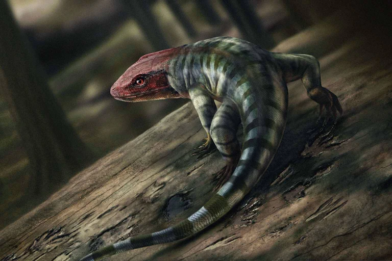 Detailed painting of an ancient lizard with a red head and stripy green body.