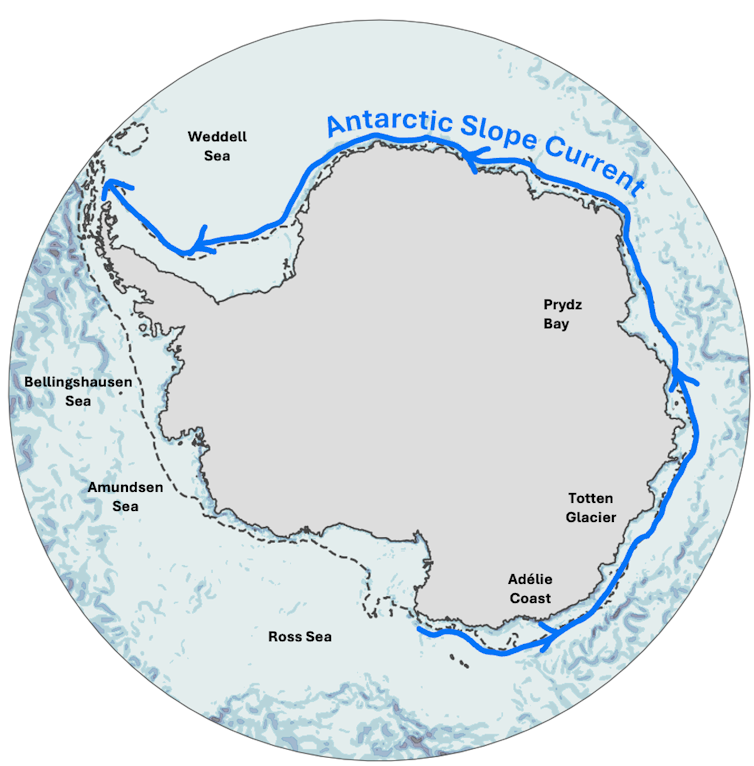Schematic of Antarctic Slope Current flow around Antarctica