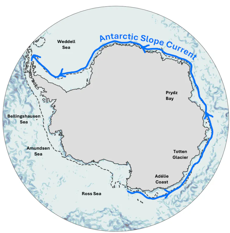 Schematic of Antarctic Slope Current flow around Antarctica