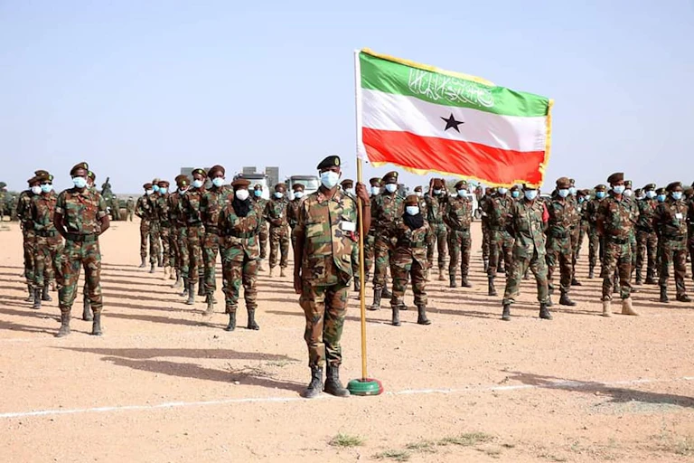 Armed men wearing face masks standing in formation, with one man at the front holding up a flag with green, white and red stripes and a black star in the middle