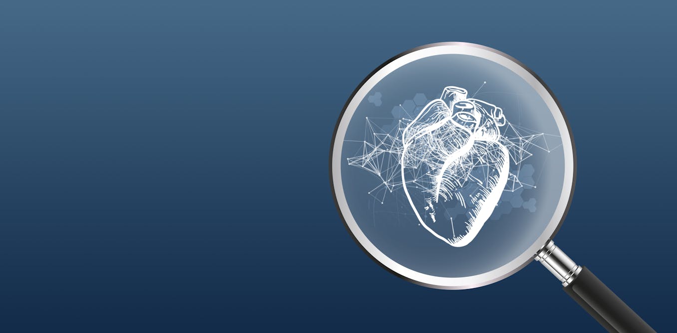 Quels liens entre insuffisance cardiaque et vieillissement du cœur ? Les mécanismes à la loupe