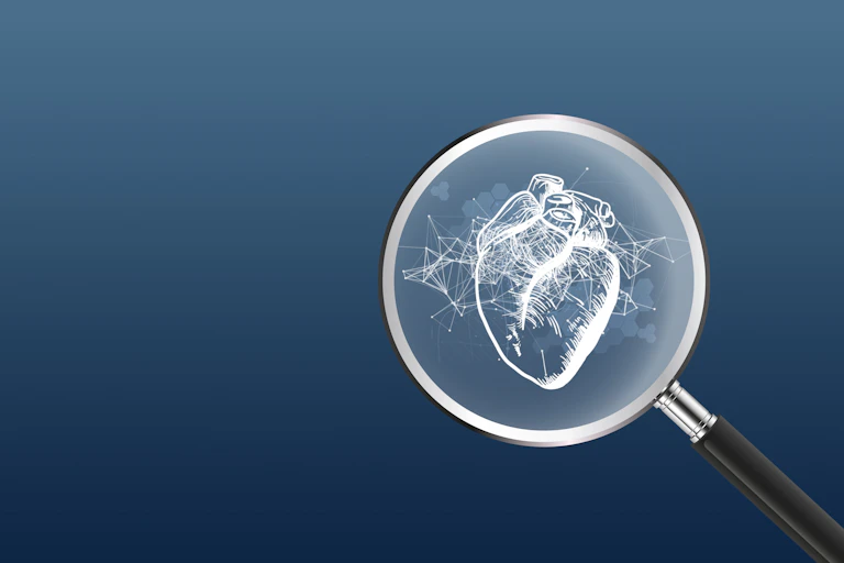 Une image 3D montre un coeur regardé à la loupe.