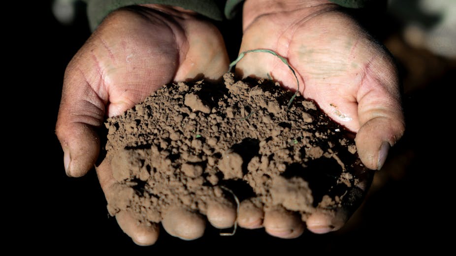 Les sols, face cachée de la pollution par les PFAS. Et une piste pour les décontaminer