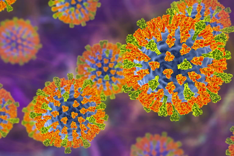 Illustration of measles virus particles, orange green and blue.