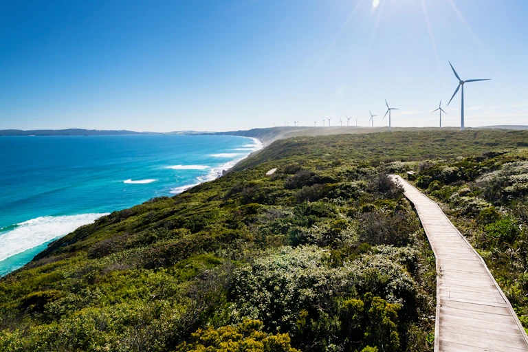Wind turbines along a beach.