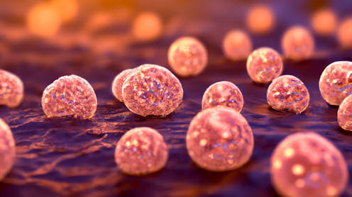 La résistance aux antibiotiques remonte à plusieurs millions d’années : quels enseignements en tirer ? La résistance aux antibiotiques remonte à plusieurs millions d’années : quels enseignements en tirer ?