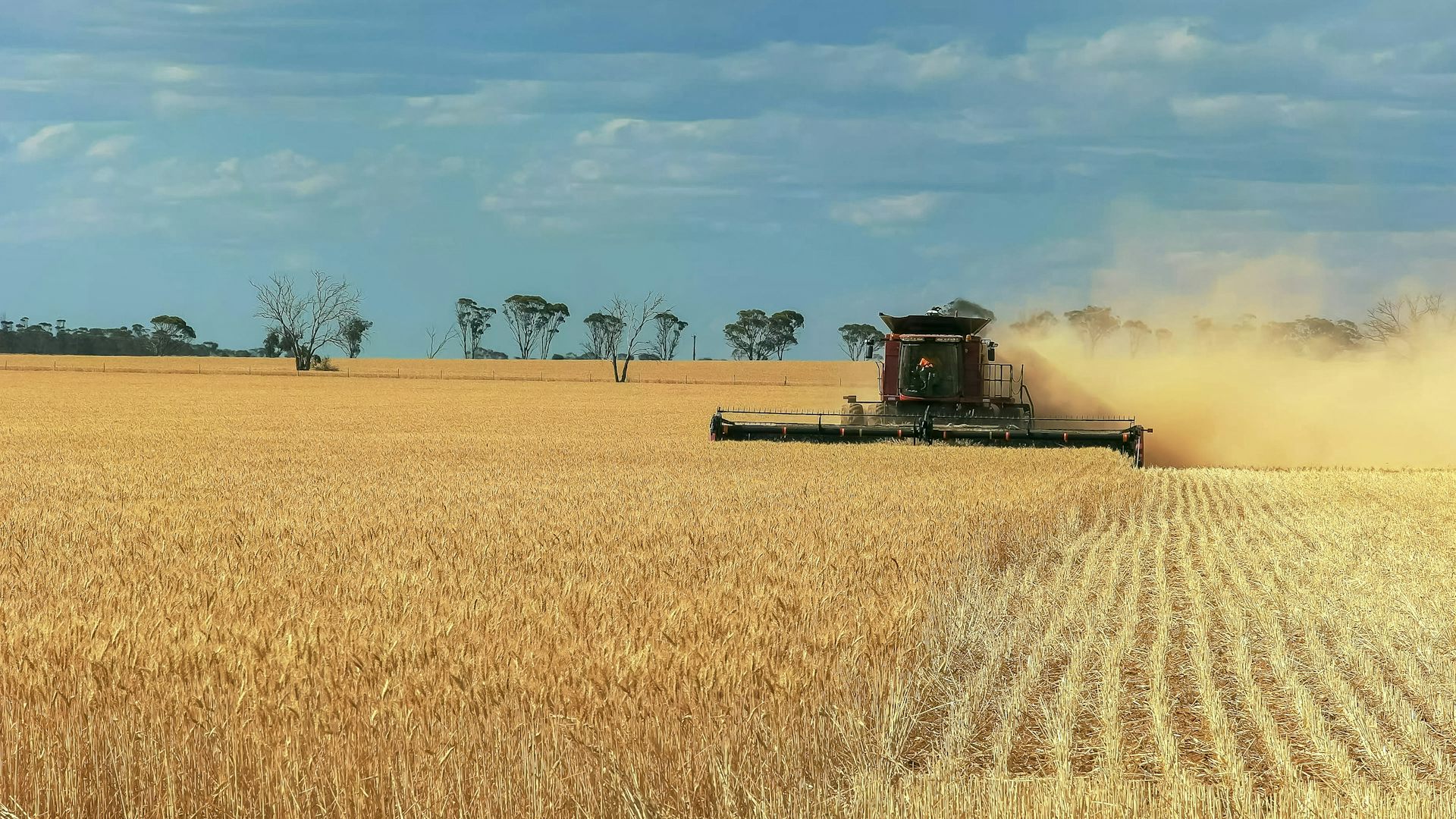 a farm with tractor