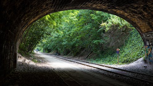 Old drains and railways are full of life. Here’s how to make the most of these overlooked green spaces