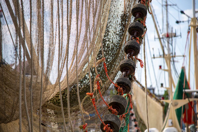 A large bottom trawl fishing net hanging down with rockhopper rollers attached to the footrope.