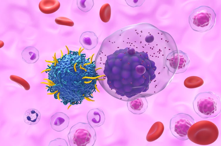 Recreación de una célula CAR-T atacando a una célula cancerosa