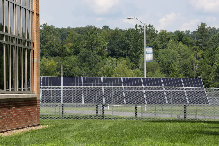 Array of solar panels behind fenced area and in front of wooded area