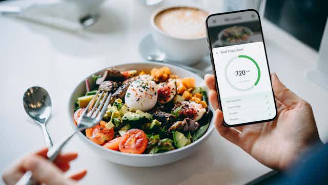 Hand using fitness plan mobile app on smartphone to check the nutrition facts and calories intake of a beef cobb salad.