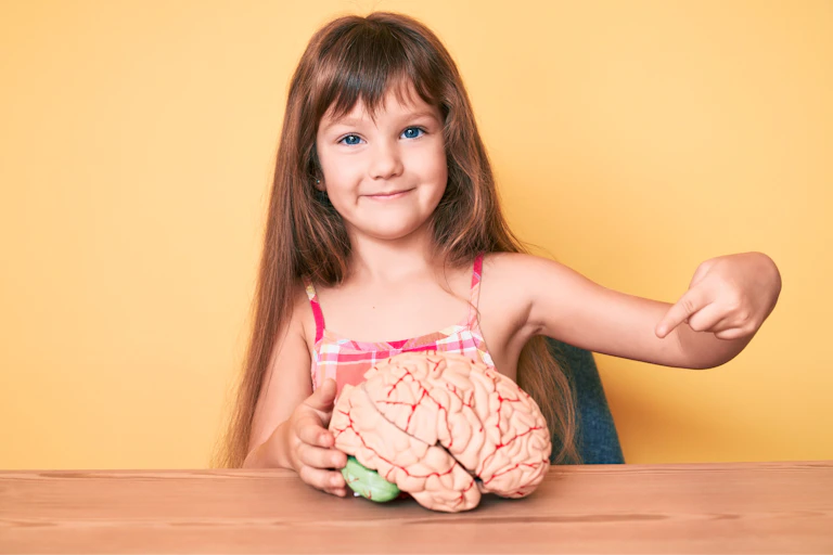 Smiling little girl points to a model of a brain