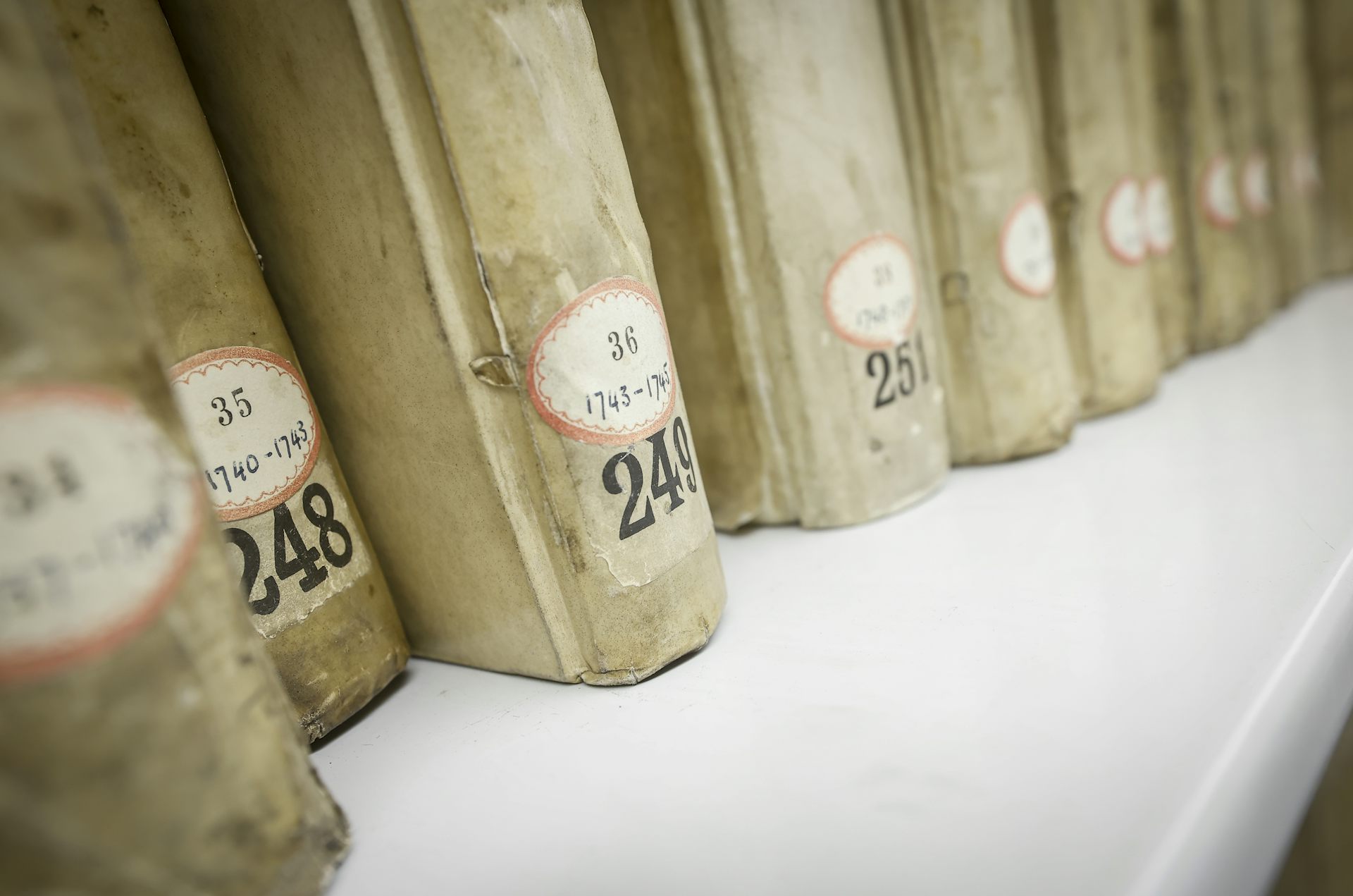 Los libros se ven en el estante.