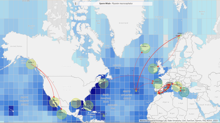 Map of Earth focused on Europe and North America crisscrossed with red arrows.