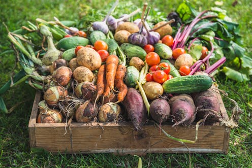 Community-run food co-ops can reduce food insecurity and boost healthy diets, research shows