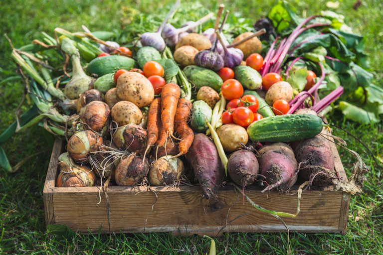 A wooden box sitting on grass, filled with a variety of fresh vegetables.