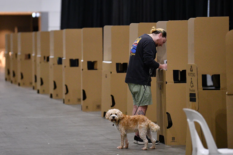 A man casting his vote in a voting booth while his dog watches on.