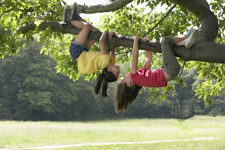 Two girls playing in a tree