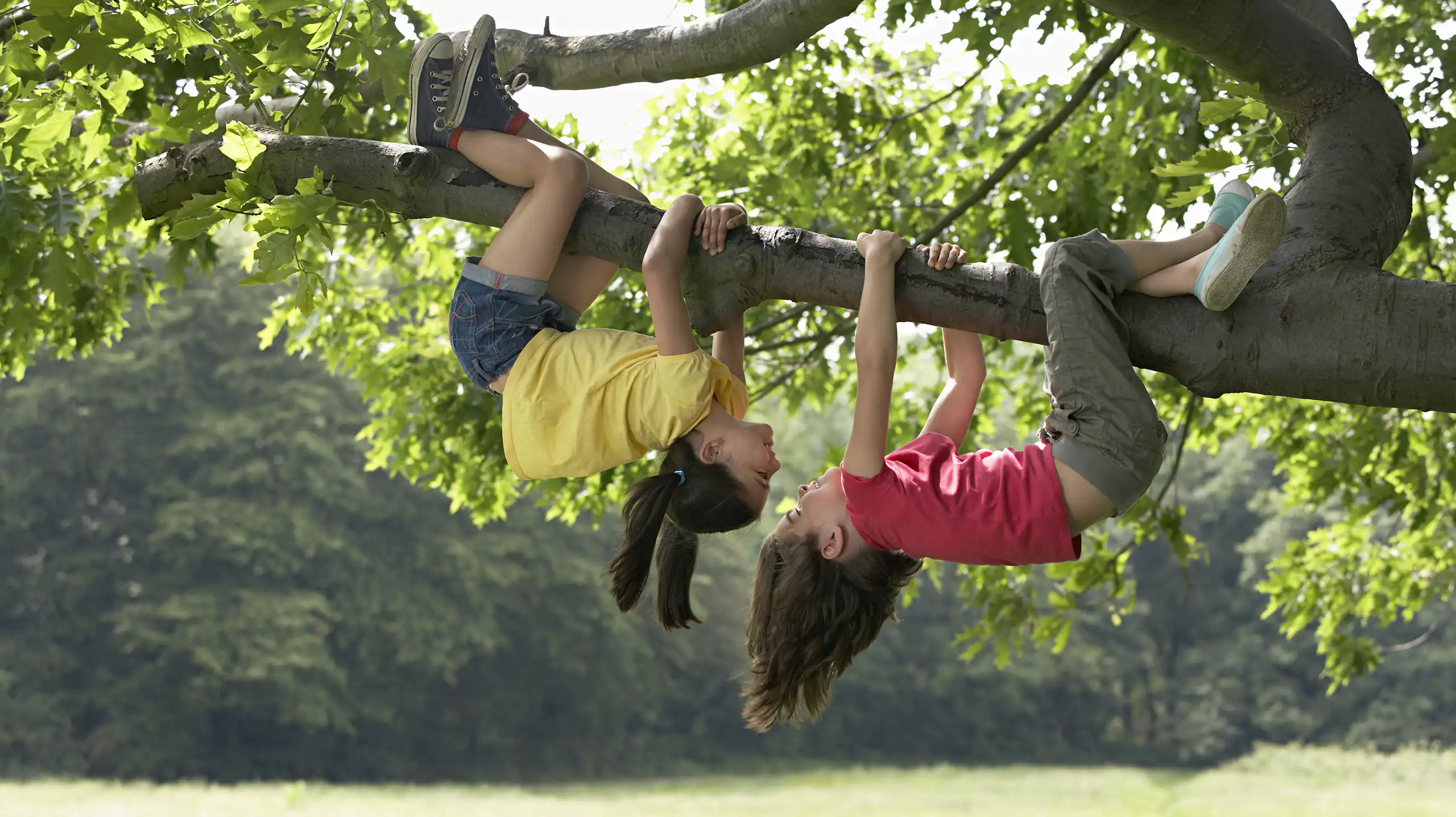 Two girls playing in a tree