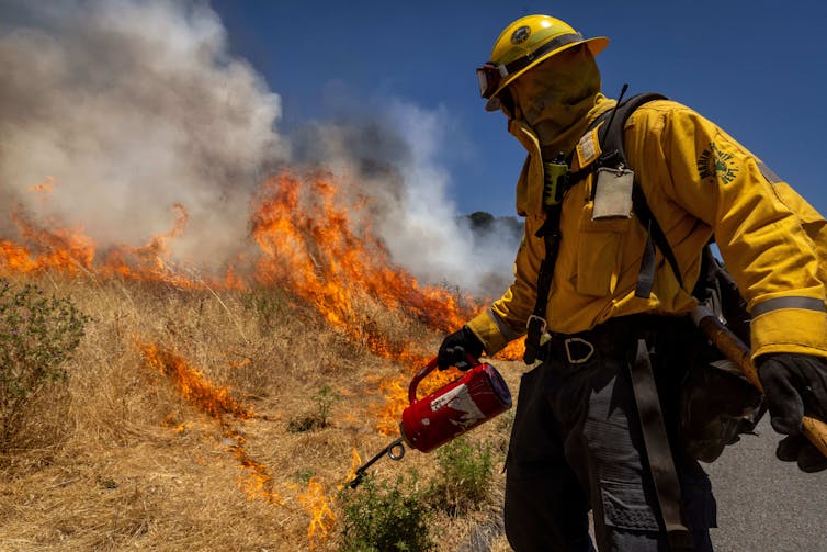 A wildland firefighter in protective gear lights a controlled burn to clear away dried grasses that could fuel worse fires during fire season.