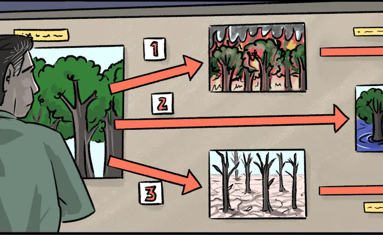 Managing forests and other ecosystems under rising threats requires thinking across wide-ranging scenarios – Environmental News Bits Managing forests and other ecosystems under rising threats requires thinking across wide-ranging scenarios – Environmental News Bits