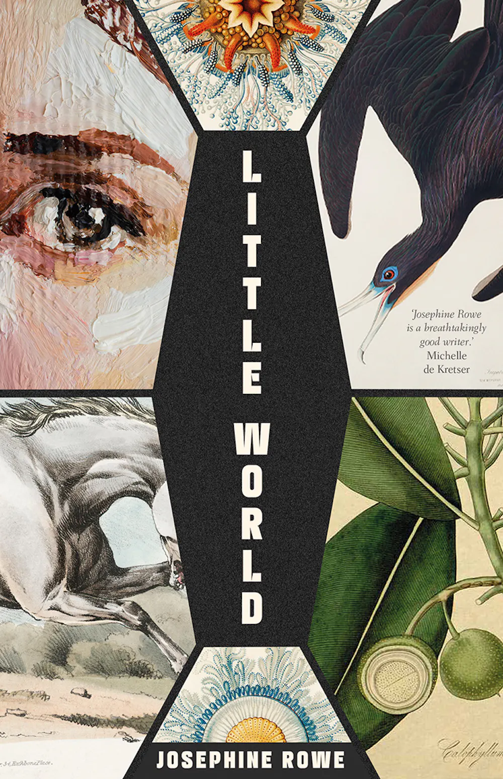 Little World, what are you? Josephine Rowe’s latest novel is a ...