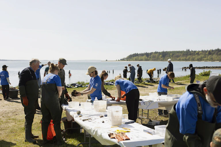 people on beach by sea sampling marine life