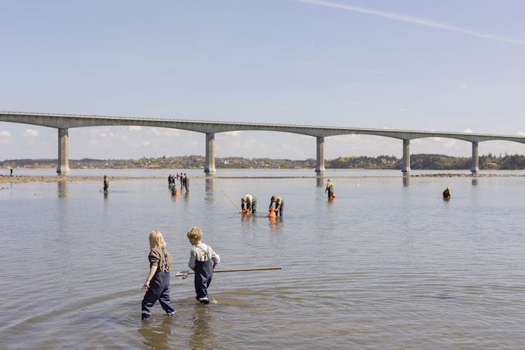 Citizen scientists of all ages gather flora and fauna samples from the seafloor with the Salling Sund bridge in the background.