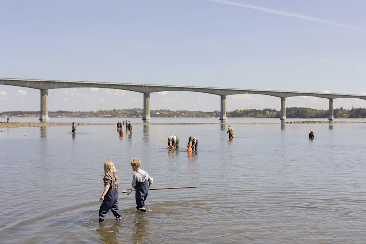 Citizen scientists of all ages gather flora and fauna samples from the seafloor with the Salling Sund bridge in the background.