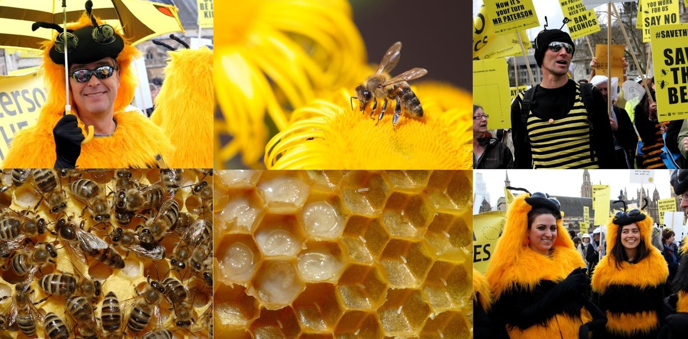 Pourquoi l’abeille est-elle devenue le symbole de la lutte contre les pesticides ?